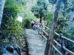 -马峦山郊野公园