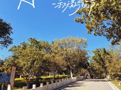-北宫国家森林公园