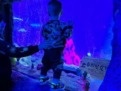 -沈阳海洋探索中心