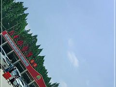 -五七小李子油焖大虾(总店)