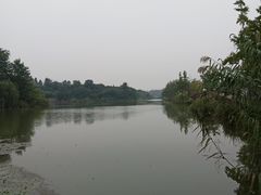 -白鹭湾湿地公园