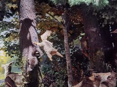 -陕西自然博物馆