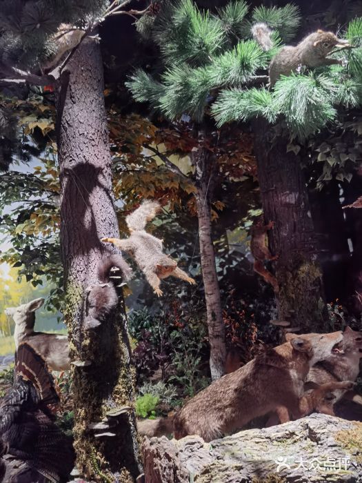 陕西自然博物馆图片