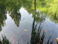 -济南大明湖景区