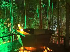 -天目湖御水温泉·度假酒店