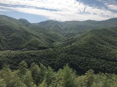 -宁波浙东大竹海景区