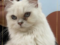 -1013 PET SHOP 宠物商店(近铁城市广场店)