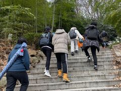 -石老人观光园