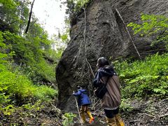 -峡谷浮石林景区