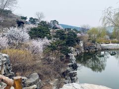 -北京西山国家森林公园