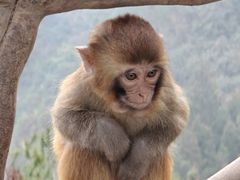 -重庆云阳龙缸景区