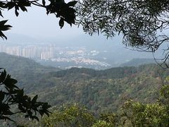 -田心森林公园