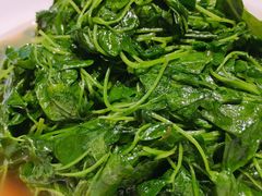 酒香金花菜-鱼食饭稻·苏浙土菜17年老馆子(平江路店)