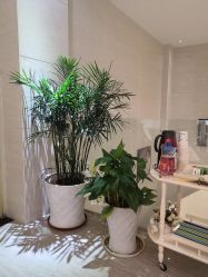 -比华利美容医院