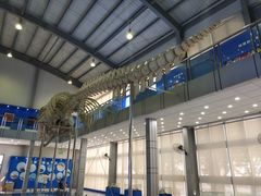 -上海海洋大学鱼文化博物馆(军工路校区)
