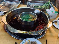 -金鼎雪山牦牛杂火锅(理县总店)