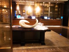-深圳机场凯悦酒店