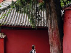 -七曲山风景区