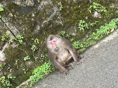 -西岭雪山大飞水景区