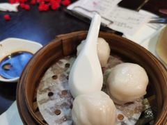 添运来虾饺皇-添运来(茶园奥园广场店)