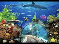 -太平洋海底世界