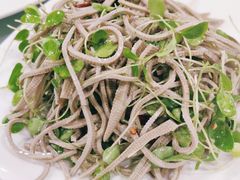 -听涛雅苑百味饺子老家菜馆