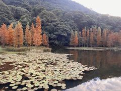 -广州市石门国家森林公园