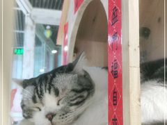 -小时光咖啡馆(开森度假森林店)