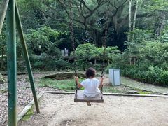 -广州市石门国家森林公园