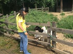 -田园东方蜜桃村的田野营地