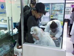 -申普宠物医院·心脏介入·心血管微创(总院)