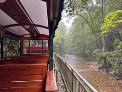 -九龙江国家森林公园