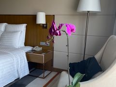 -珠海中海雅高铂尔曼酒店