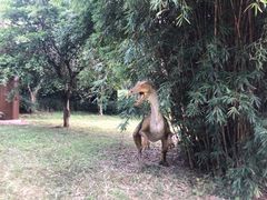 -自贡恐龙博物馆