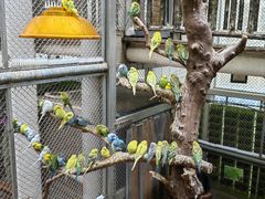 -正佳雨林生态植物园
