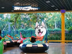 -三亚海昌梦幻海洋不夜城