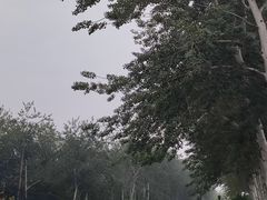 -味多美蛋糕(八大处店)