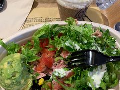 -油梨树AVOCADO TREE(嘉里中心店)