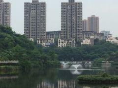 -重庆彩云湖湿地公园