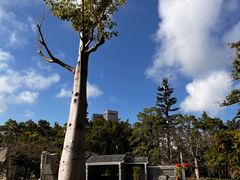 -四海公园(南山区)