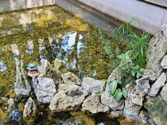 -宁波市保国寺古建筑博物馆