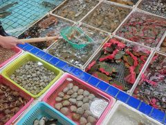 -霞涌市场海鲜摆卖区