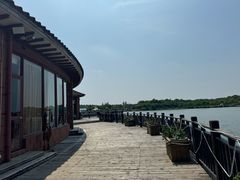 -上海都市菜园