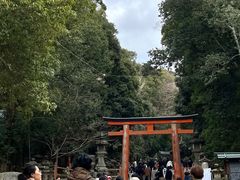 -奈良公园