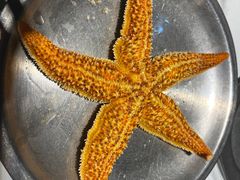 -海卫蚝情·海鲜烧烤