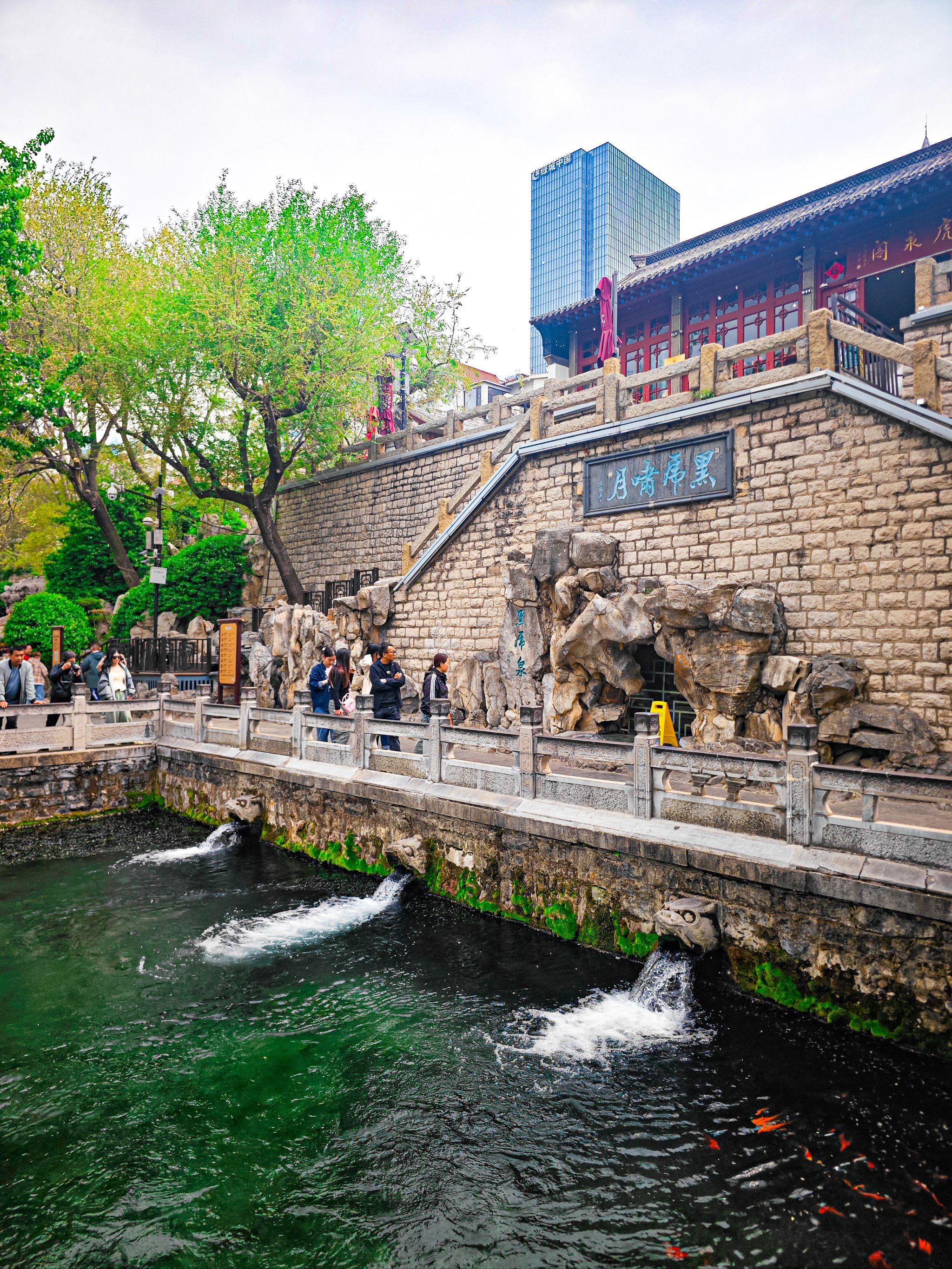 济南旅游攻略|接地气的黑虎泉