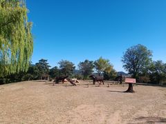 -北京西山国家森林公园