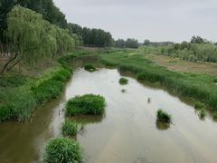 -东郊湿地公园