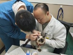 -安安宠医·臻爱宠物医院·宠保定点(营门口路分院)