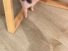 -浣熊柯尔鸭土拨鼠·电玩咖